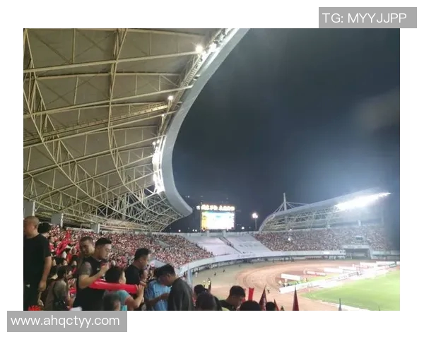 衡阳足球明星的崛起与发展探秘及其对地方足球的影响